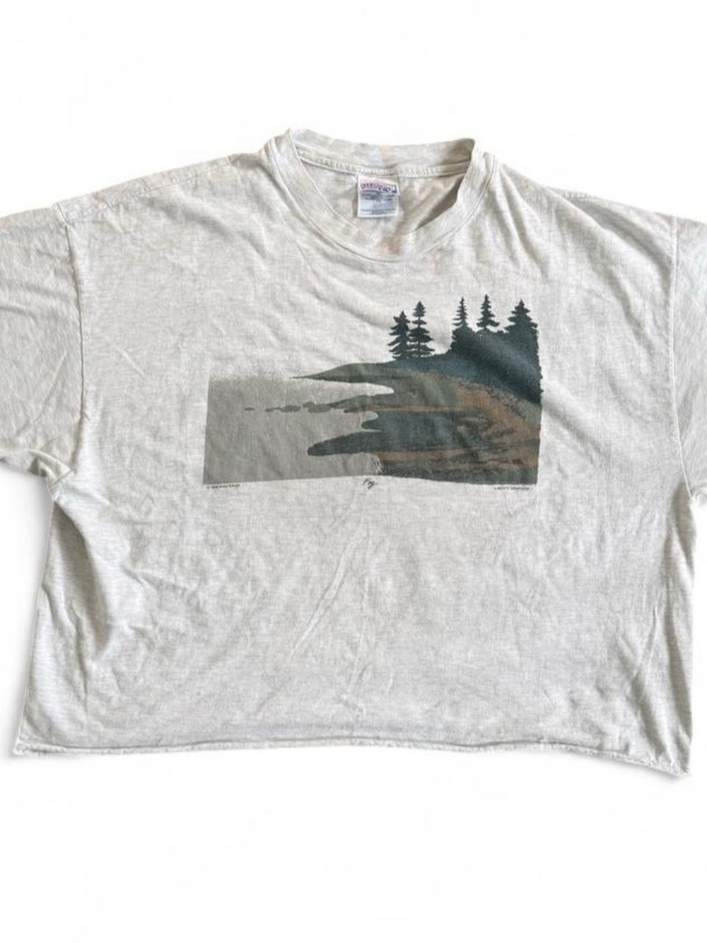 Vintage 1992 Liberty Graphics Ann Kilham ‘Fog’ Cropped Shirt